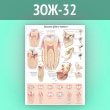 Плакат «Болезни зубов и челюсти» (ЗОЖ-32, ламинированная бумага, А2, 1 лист)